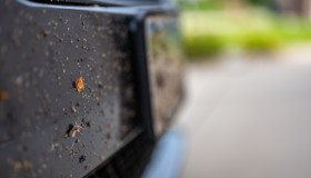 Guidare con la targa sporca: rischi e multe